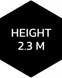 extreme_1_hex_height